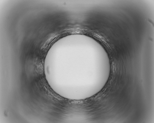 X0000103311446200808291142