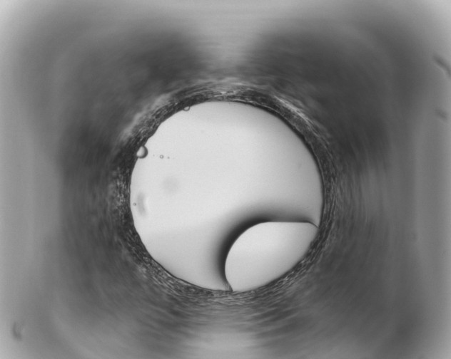 X0000103311447200808291142