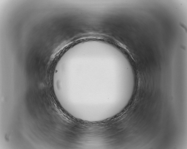 X0000103311448200808291142