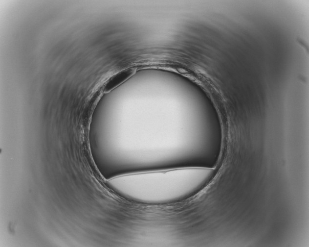 X0000103311449200808291142