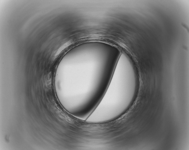 X0000103311450200808291142