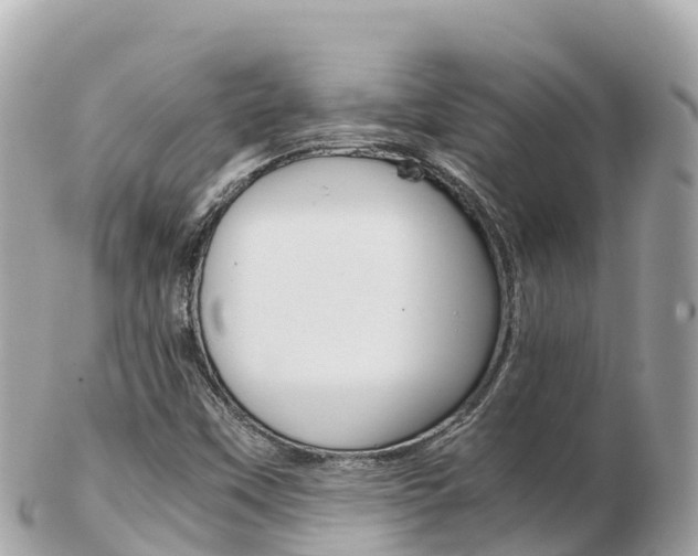 X0000103311451200808291142