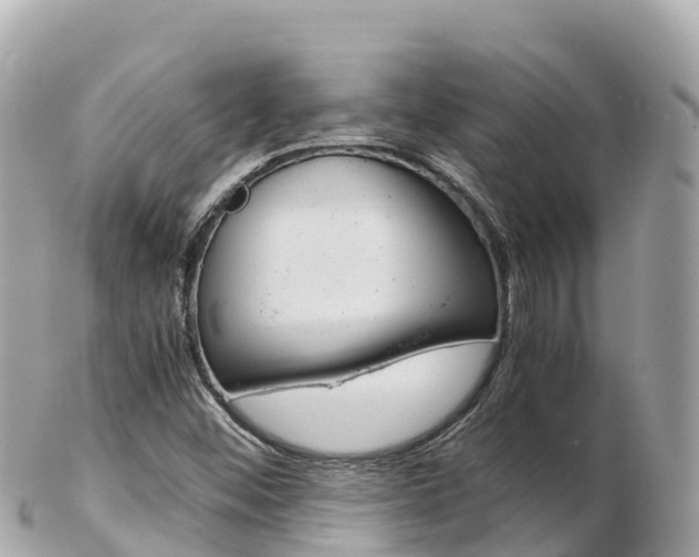 X0000103311452200808291142
