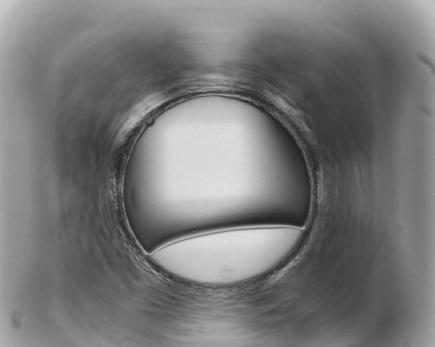 X0000103311453200808291142