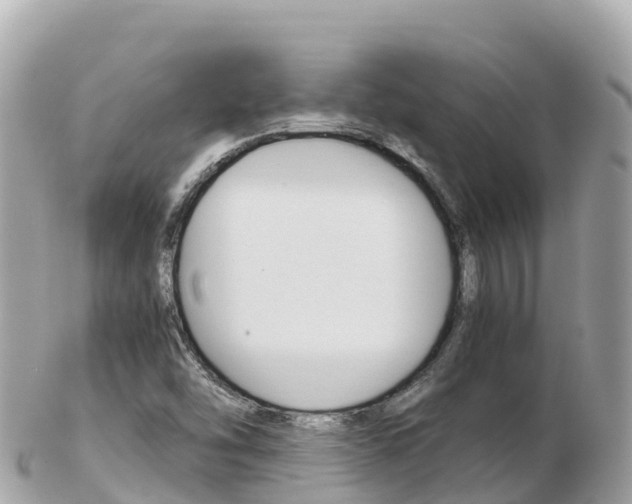 X0000103311454200808291142