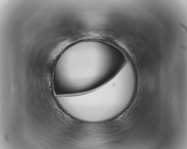 X0000103311455200808291142