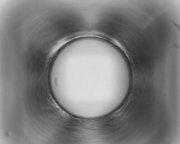 X0000103311456200808291142