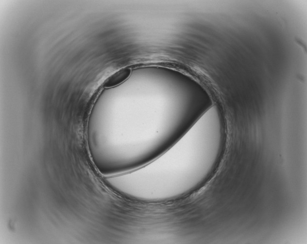 X0000103311457200808291142