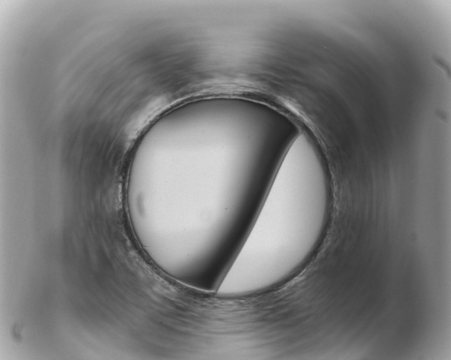 X0000103311459200808291142