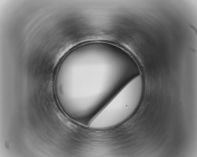 X0000103311460200808291142