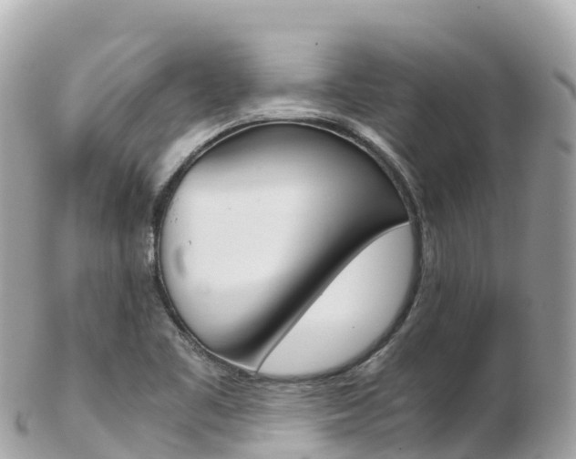 X0000103311461200808291142