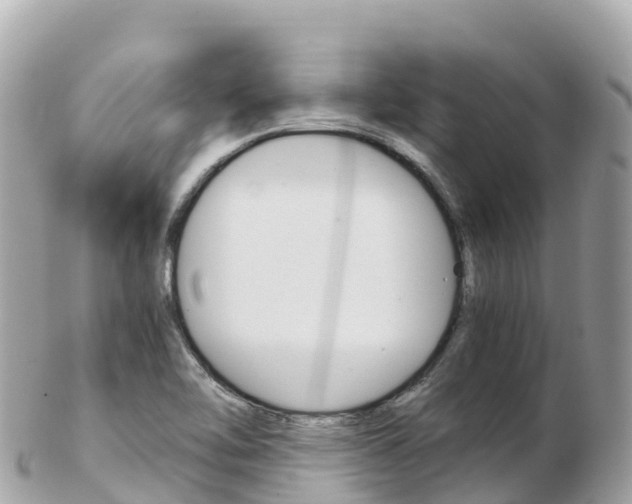 X0000103311462200808291142