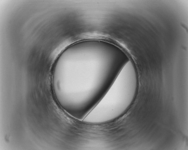 X0000103311463200808291142