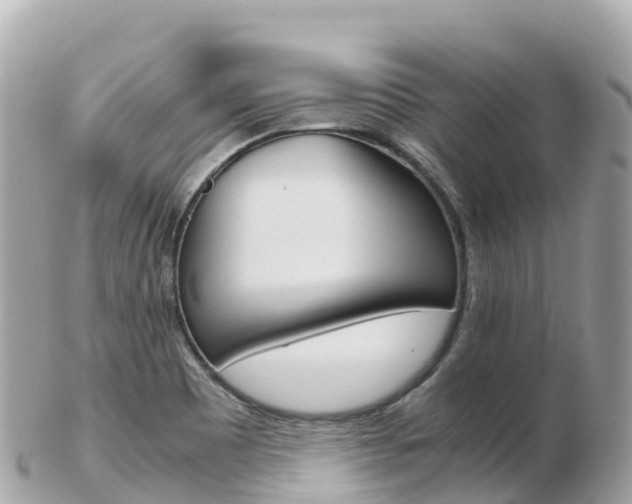X0000103311465200808291142