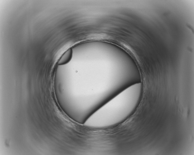 X0000103311467200808291142