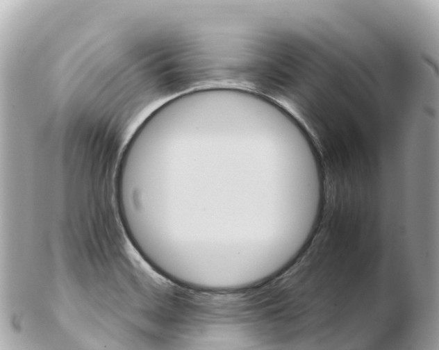 X0000103311468200808291142