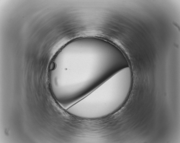 X0000103311469200808291142