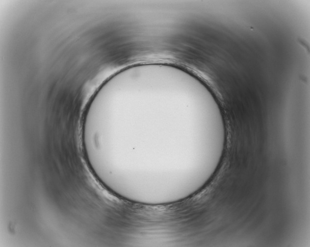 X0000103311470200808291142