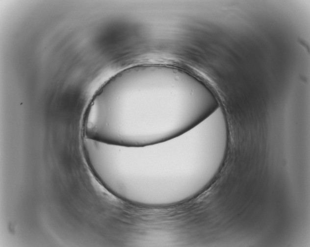 X0000103311471200808291142