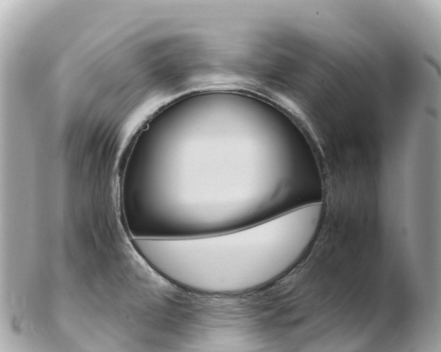 X0000103311472200808291142