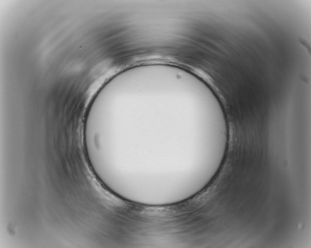 X0000103311474200808291142