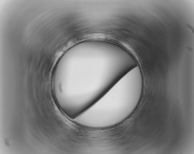 X0000103311475200808291142