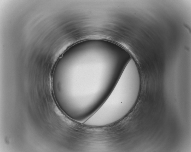 X0000103311476200808291142