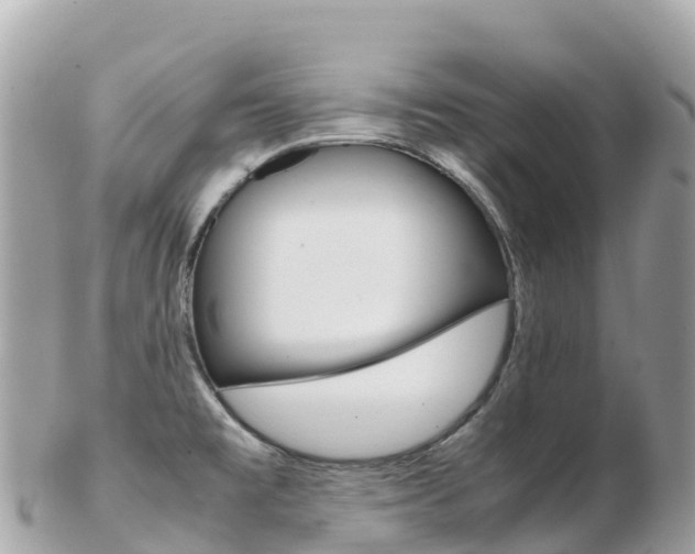 X0000103311477200808291142