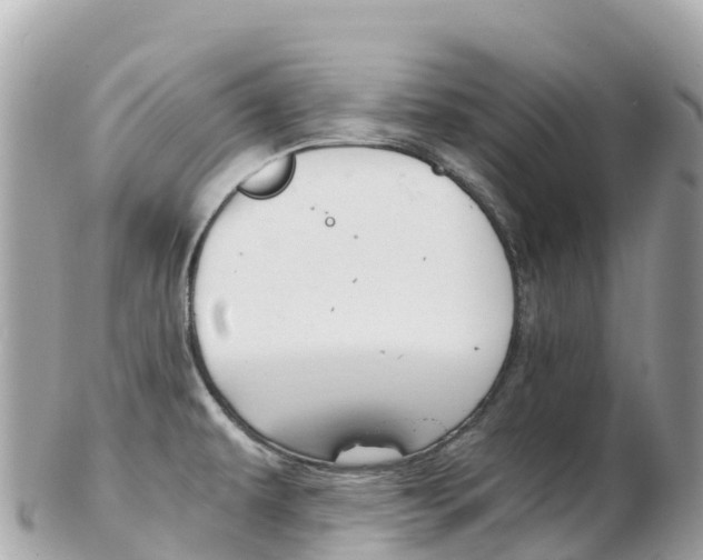 X0000103311479200808291142