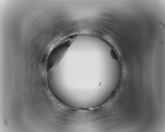 X0000103311481200808291142