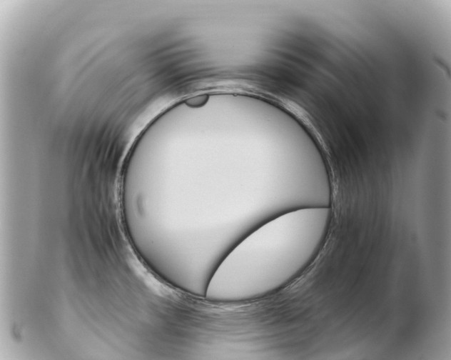 X0000103311482200808291142