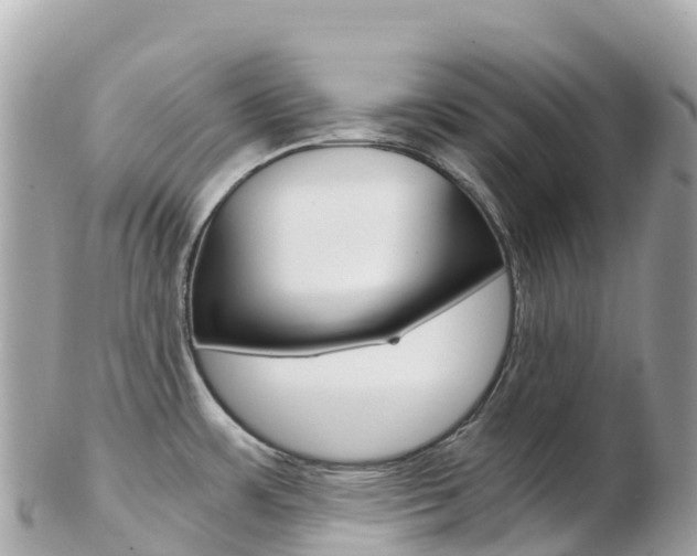 X0000103311483200808291142