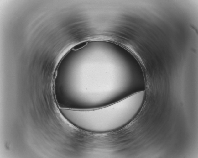 X0000103311484200808291142