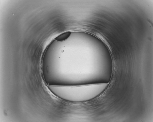 X0000103311485200808291142