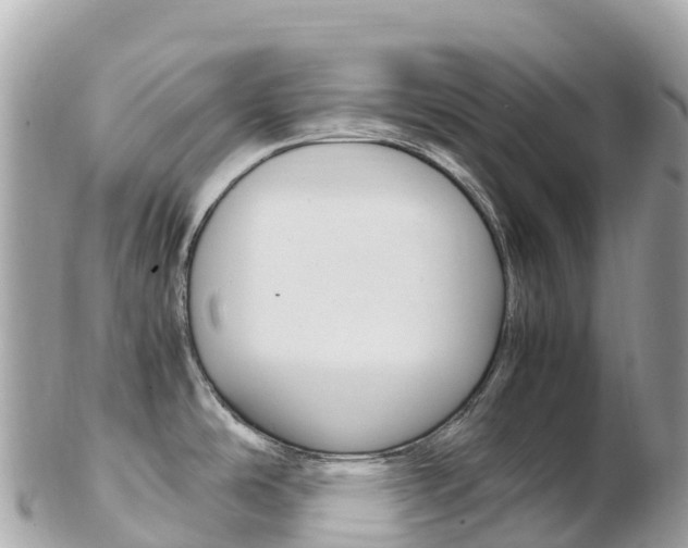 X0000103311486200808291142