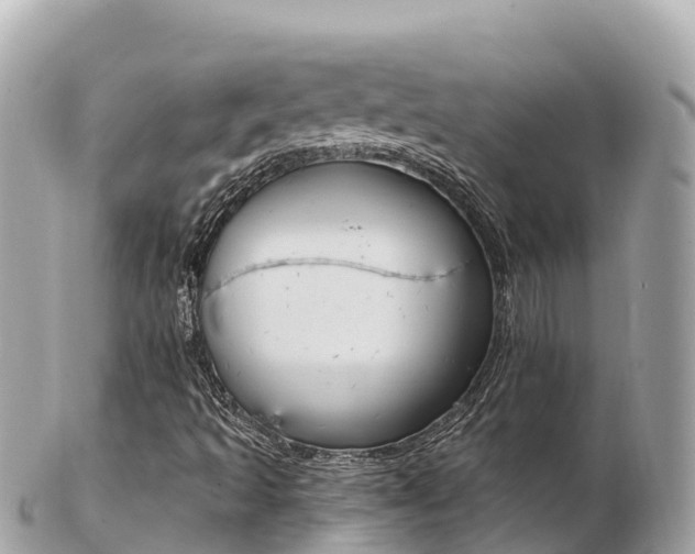 X0000103311493200808291141