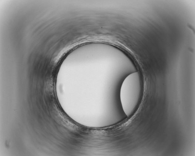 X0000103311498200808291141