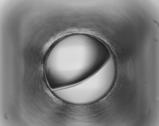 X0000103311503200808291141