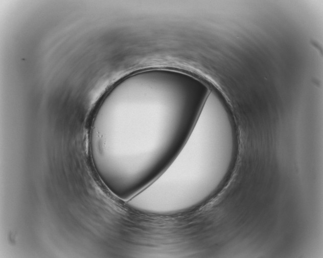 X0000103311509200808291141