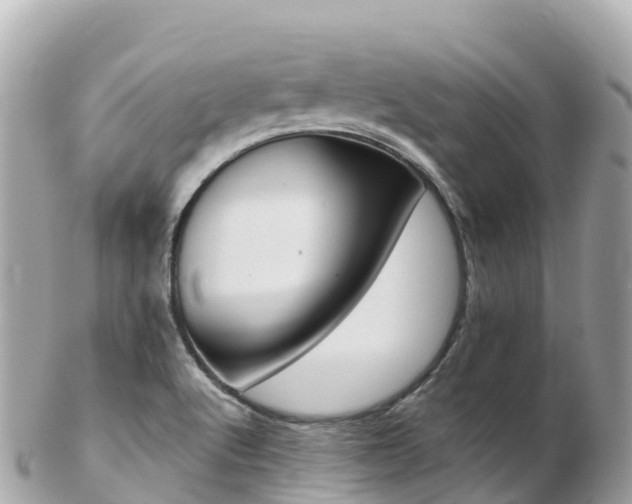X0000103311512200808291141
