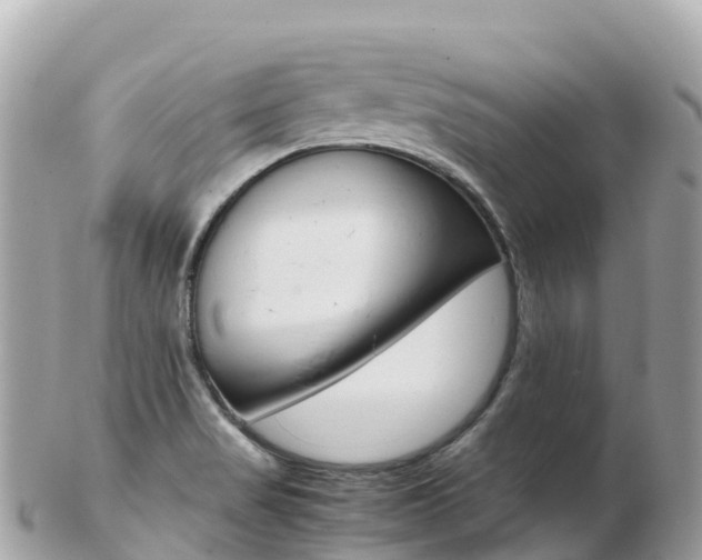X0000103311517200808291141