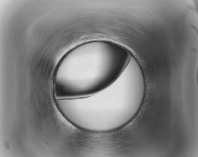 X0000103311518200808291141