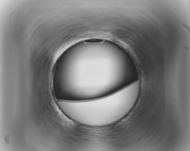 X0000103311520200808291141