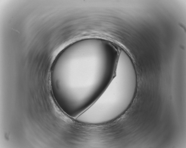 X0000103311522200808291141