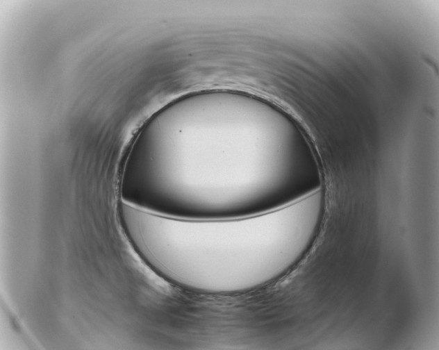 X0000103311525200808291141