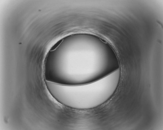 X0000103311528200808291141