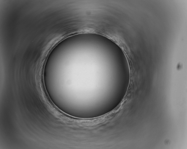 X0000103310001200808291439