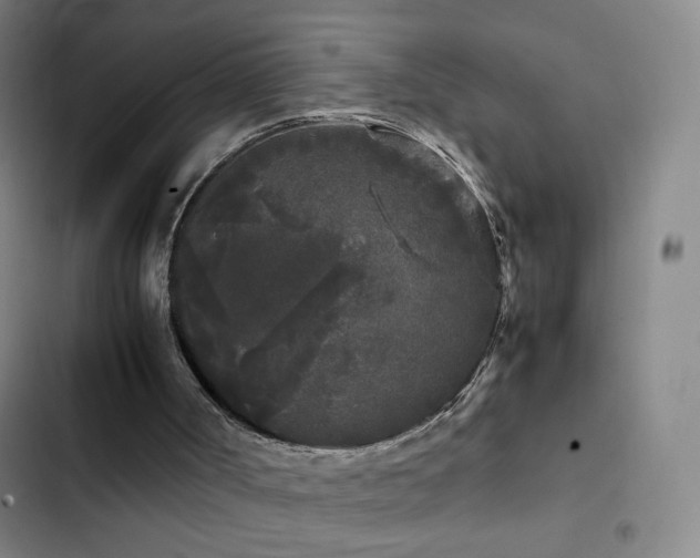 X0000103310002200808291439
