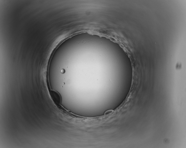 X0000103310003200808291439