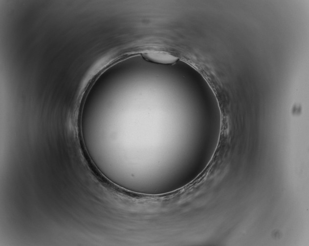 X0000103310004200808291439